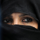 Illustration for article titled Ambassador Gets Annulment Over "Hairy Bride"